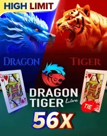Dragon Tiger