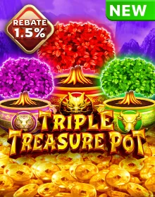 Triple Treasure Pot